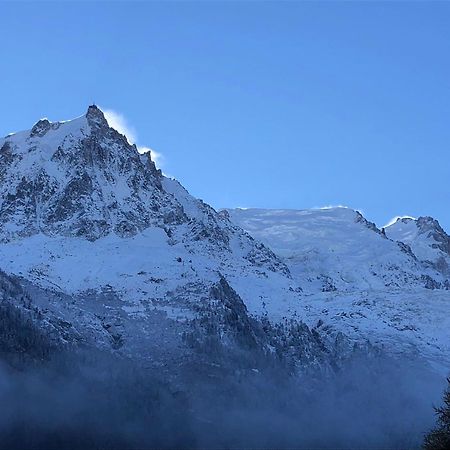 Апартаменти Les Alpins - Centre De Chamonix - Renove Avec Jardin Et Vue Imprenable Sur Le Montblanc Екстер'єр фото